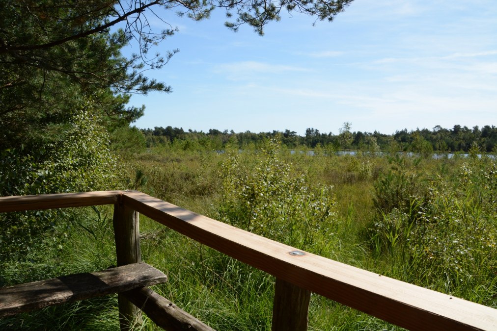Moorsee uitzichtspunt, © Tourismusverband Mecklenburg-Schwerin