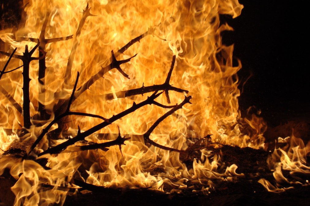 Pożar choinki bożonarodzeniowej, © Weihnachtsbaum verbrennen