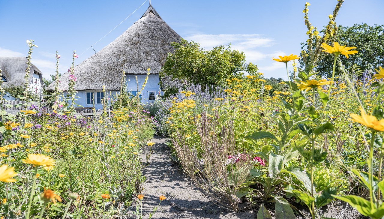 MCHGT202181036-6694, &copy; Lars Wehrmann