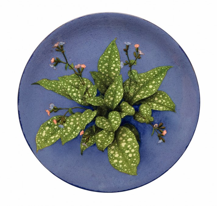 Götze_Lungwort, © Galerie Alte Schule Ahrenshoop