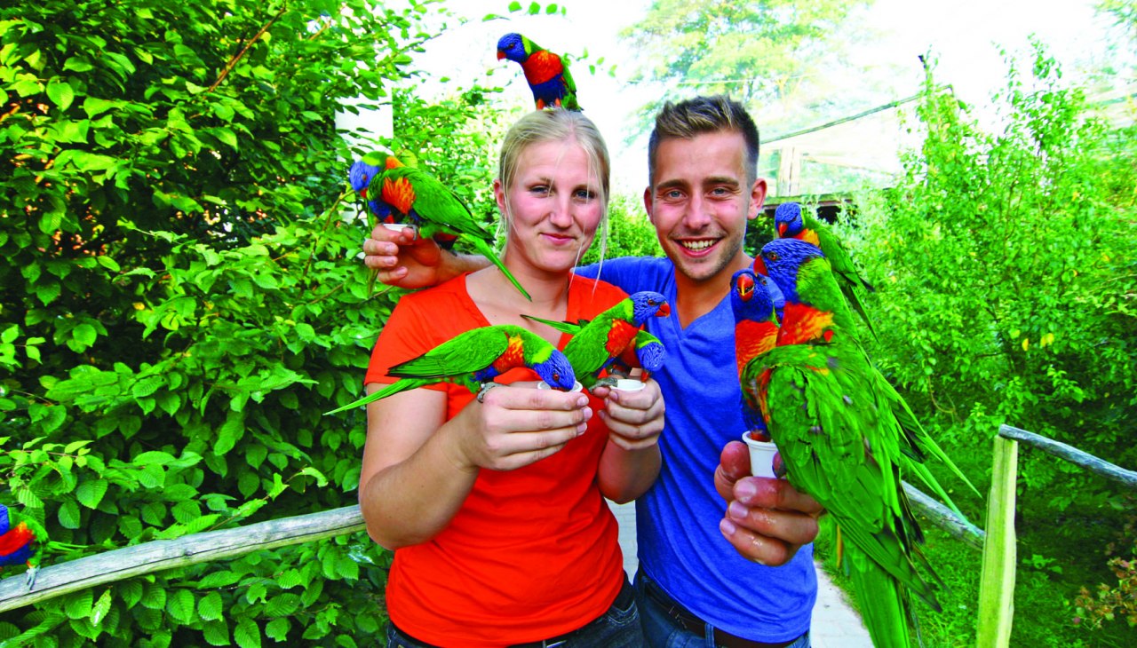 Visitors can feed the Australian loris, © Vogelpark Marlow/Zöger Visitors can feed the Australian loris, © Vogelpark Marlow/Zöger