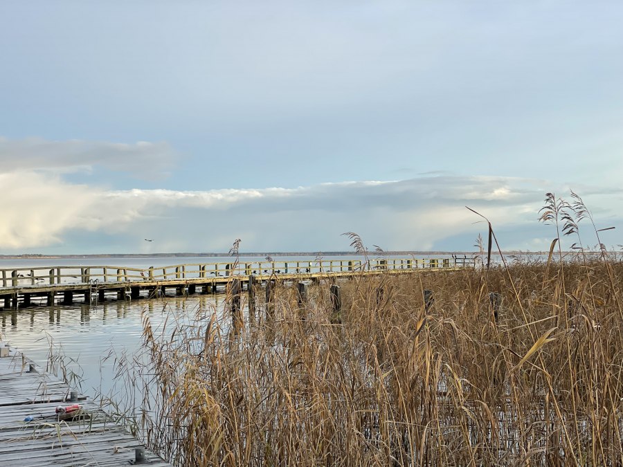 IMG_1800, © TZ Südliche Boddenküste