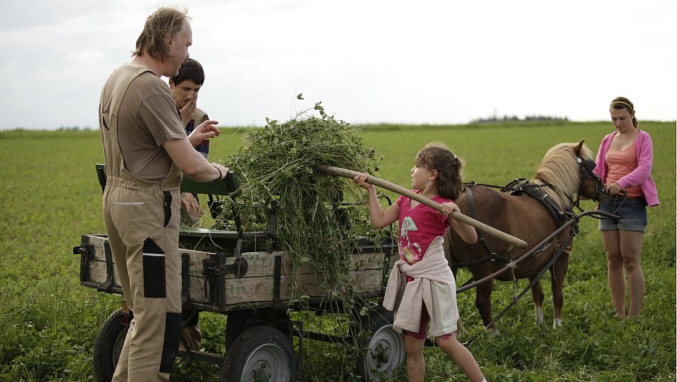 Tackled and Watched - Experience Agriculture Up Close in Mecklenburg-Western Pomerania // &copy; MV-T/H2F