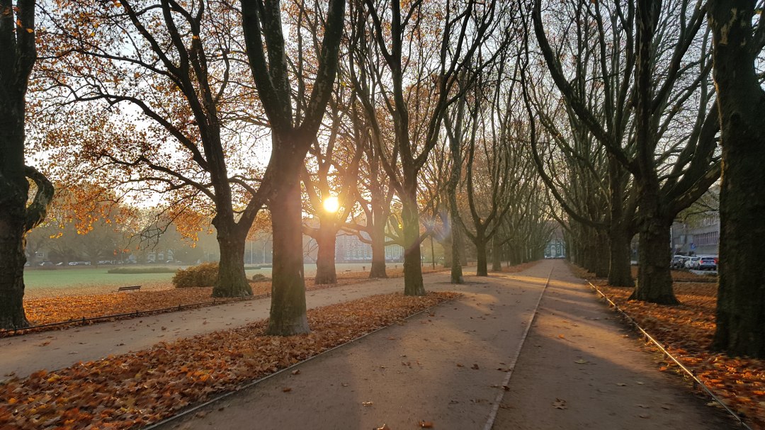 Jasne Błonia im. Jana Pawła II, © Pomorze Zachodnie