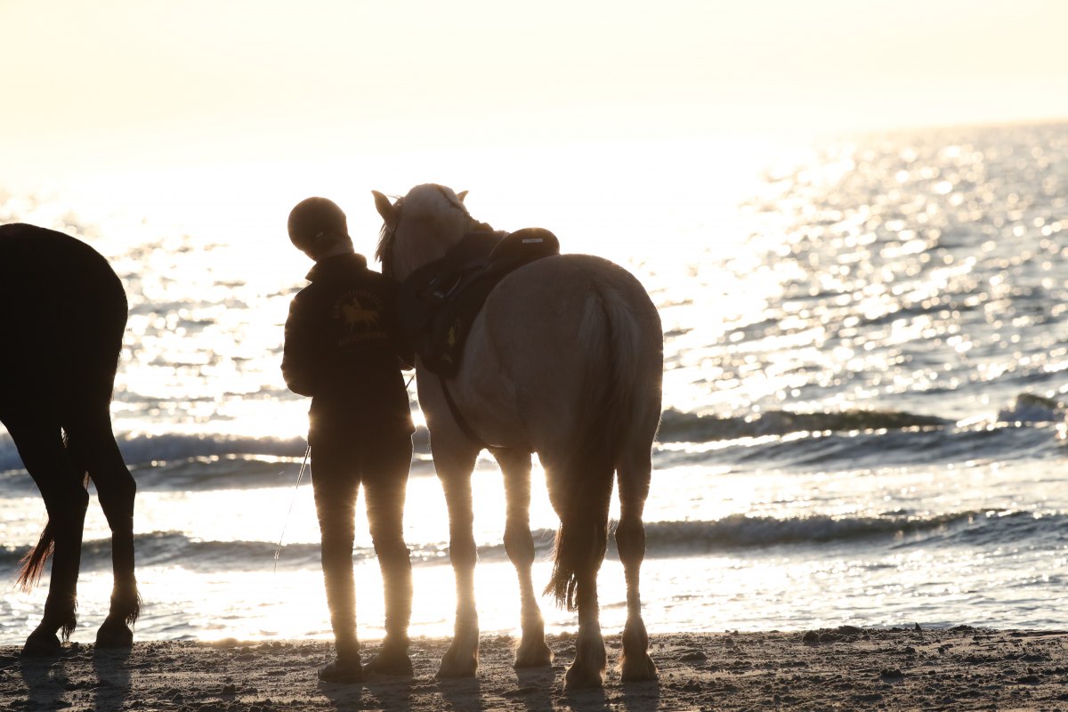 Horse riding on the beach, &copy; TMV/ACP Pantel