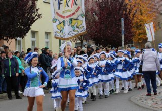 &copy; Feldberger Karneval Klub e.V.
