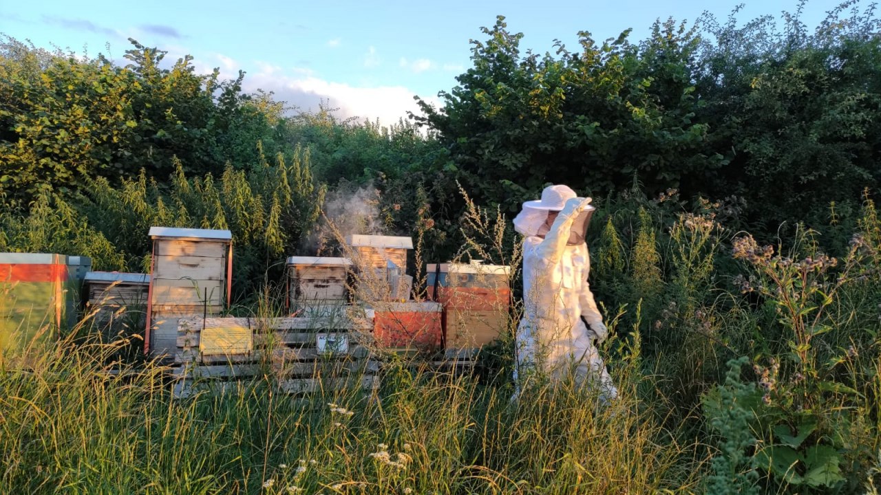 The apiary is part of the farm., &copy; I. Tacke