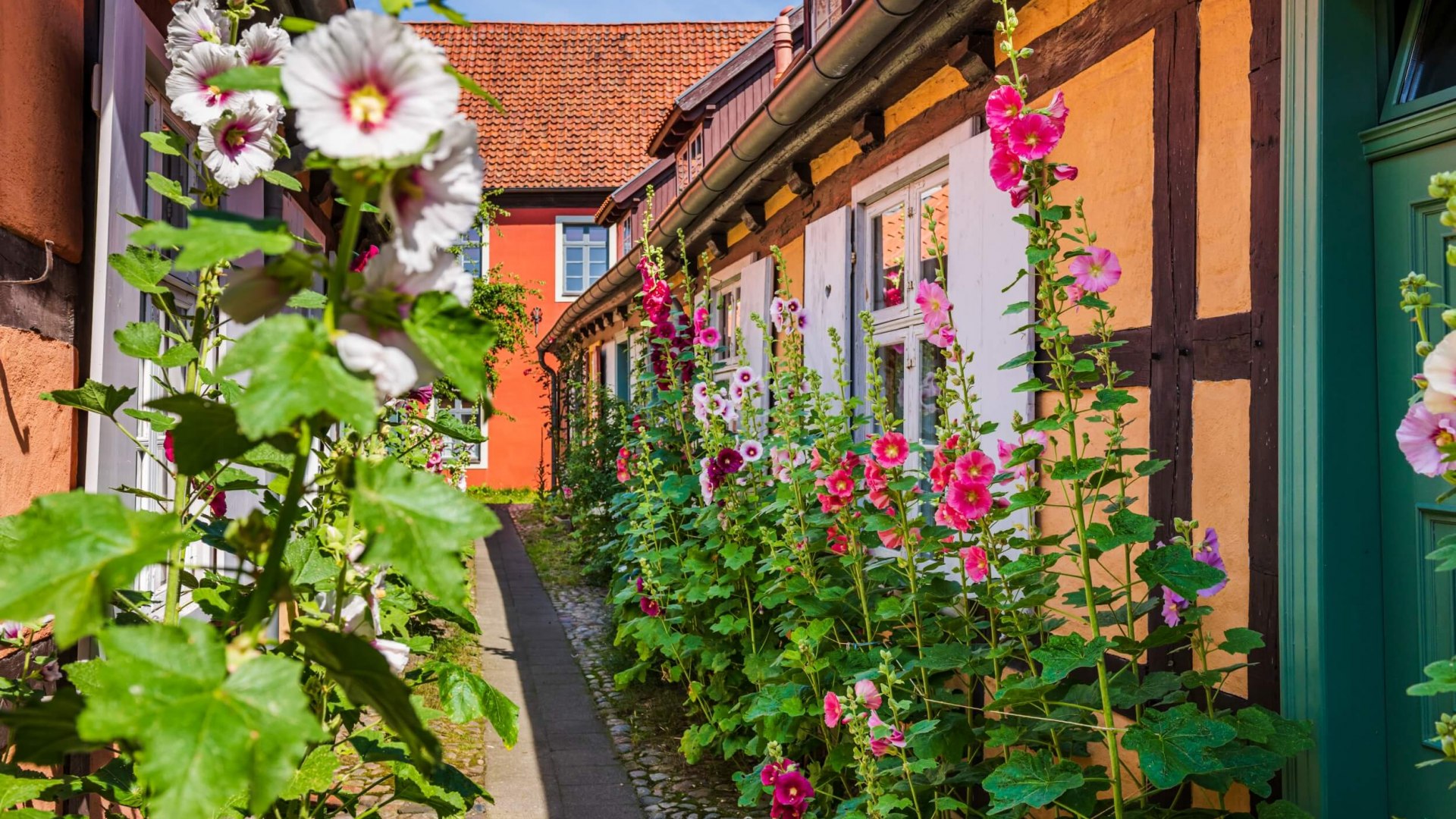 En nog romantisch ook. Het moderne stadsleven is slechts een verre herinnering in het Heilgeistkloster van Stralsund. // © MV-T/Tiemann En nog romantisch ook. Het moderne stadsleven is slechts een verre herinnering in het Heilgeistkloster van Stralsund. // © MV-T/Tiemann