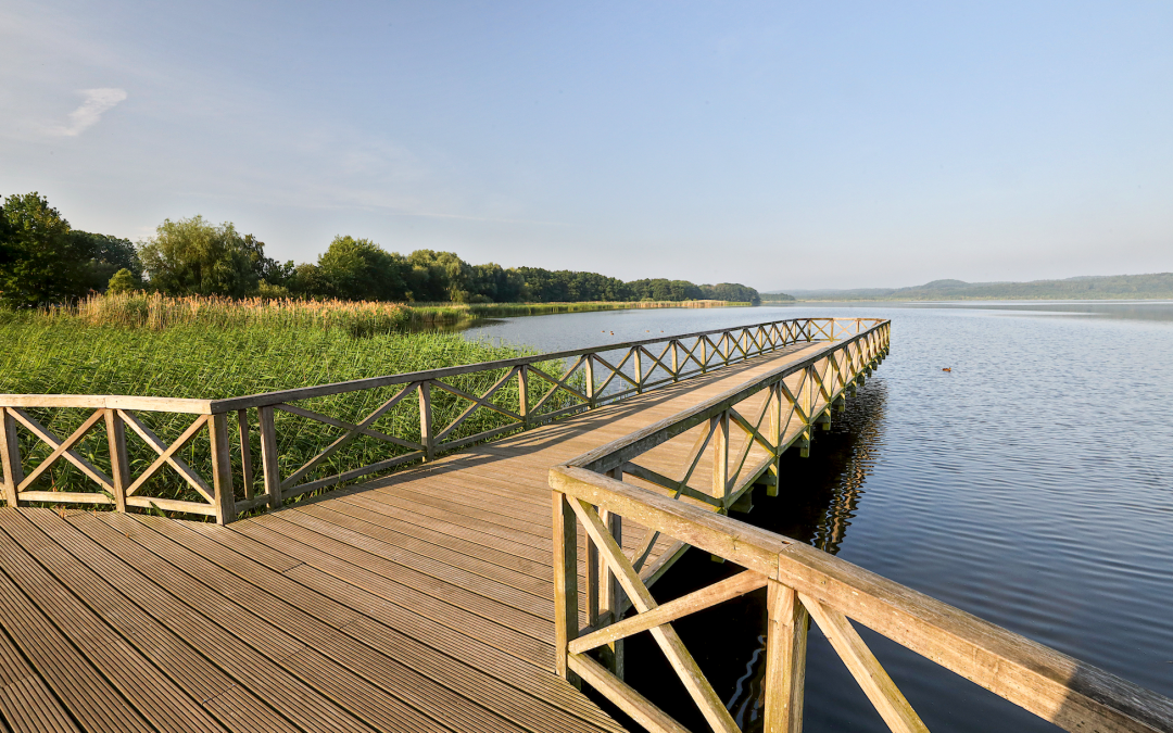 park-am-schmachter-see_3, © TMV/Gohlke