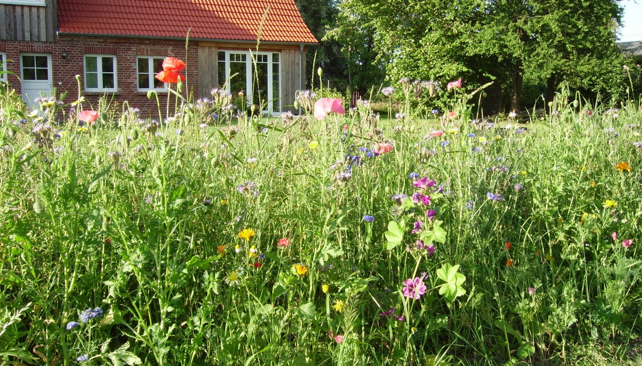 Gallery PL Smedsens Hoff 1, © Südliche Boddenküste