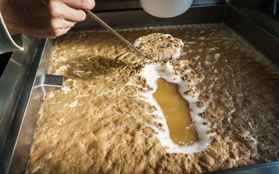 Met de verscheidenheid aan zelfgebrouwen bierspecialiteiten is er voor elk wat wils., © Darßer BRAUHAUS