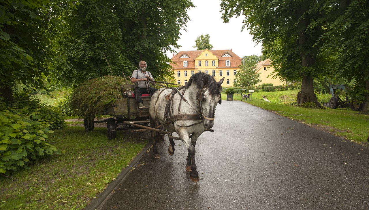 Paardenkoets voor kasteel Lühburg, © Christin Drühl