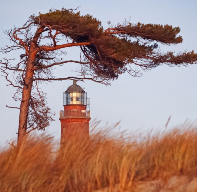 The Darss west beach is adorned by a lighthouse, which is part of the NATUREUM., © Anke Neumeister/Deutsches Meeresmuseum The Darss west beach is adorned by a lighthouse, which is part of the NATUREUM., © Anke Neumeister/Deutsches Meeresmuseum