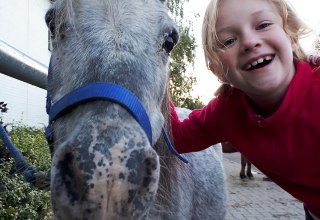 © bernsteinreiter © bernsteinreiter