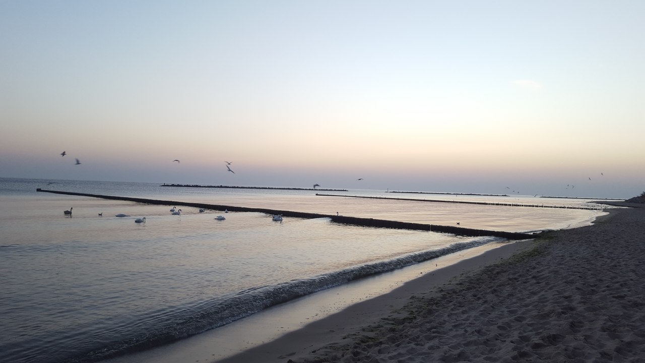 &copy; 20181016_072626.jpg