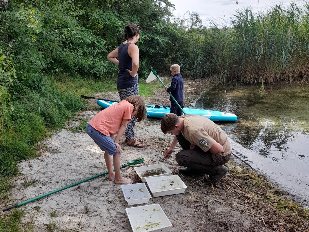 Research day2, &copy; TDG Rechlin