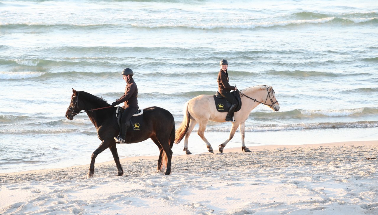 Horse riding on the beach, © TMV/ACP Pantel Horse riding on the beach, © TMV/ACP Pantel