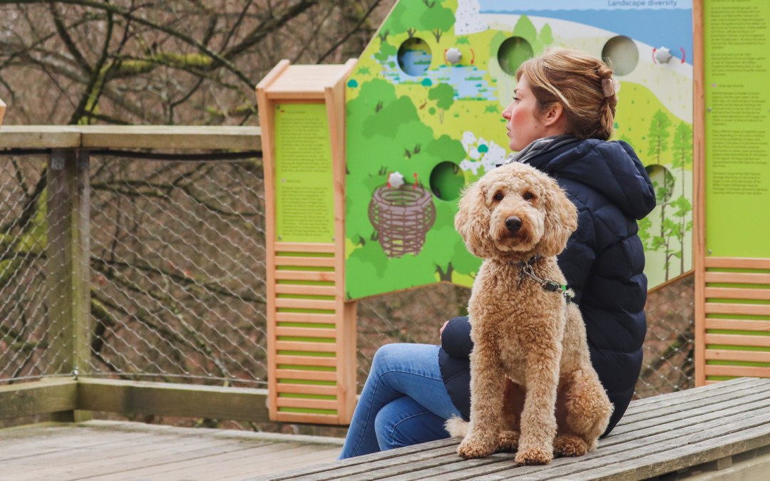 Schnuppertag: Mit dem Hund auf den Baumwipfelpfad, © Erlebnis Akademie AG/NEZR