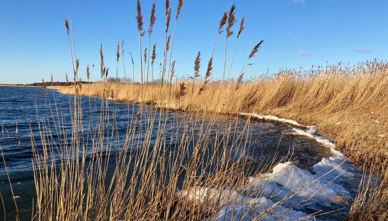 Winterbodden_KBärwald, © Nationalparkamt Vorpommern/ K.Bärwald Winterbodden_KBärwald, © Nationalparkamt Vorpommern/ K.Bärwald