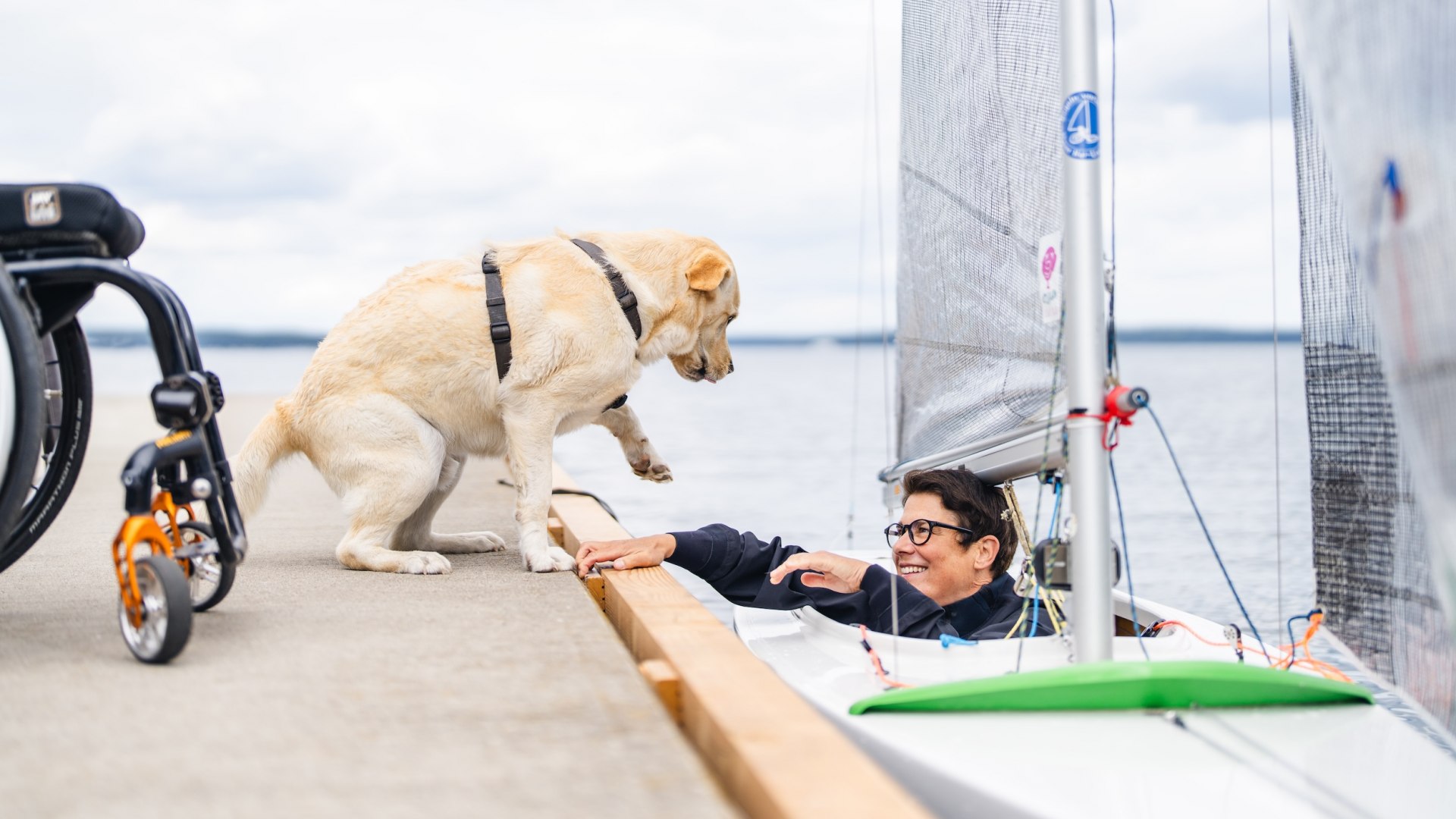 A Labrador dog greets its owner, who is sitting in a sailing boat on the jetty.