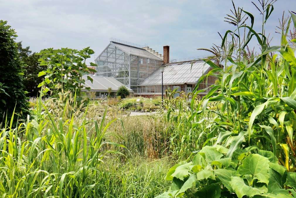 Ogród botaniczny, © Gudrun Koch
