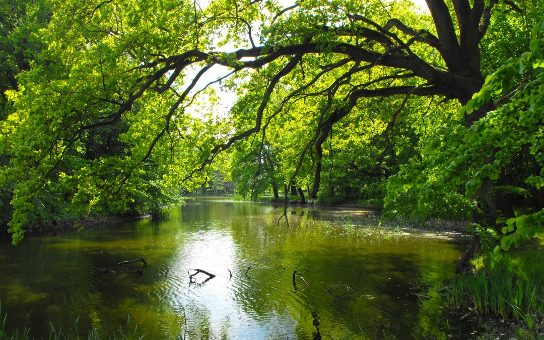 Landschapspark in Behrenhoff, © Tourismusverband Vorpommern e.V.
