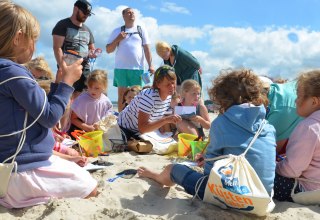 © Strandforscher (3).JPG © Strandforscher (3).JPG