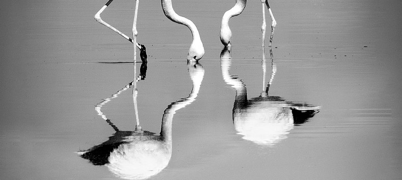 © Anke Berger © Anke Berger