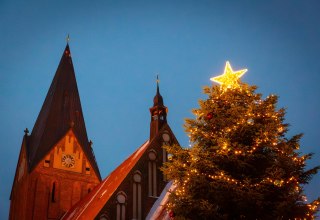 &copy; Arndt Gl&auml;ser