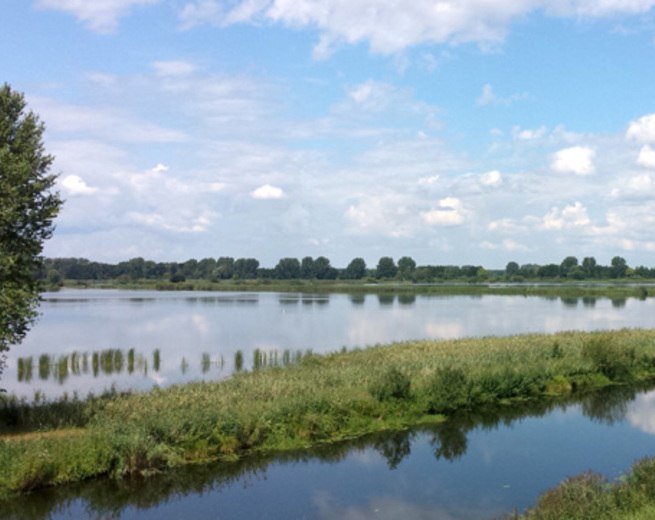 the Lewitz // &copy; adfc-Schwerin