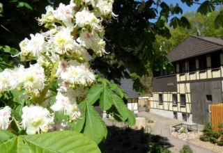Dat Waldhus in de lente, © Steffen Tepasse