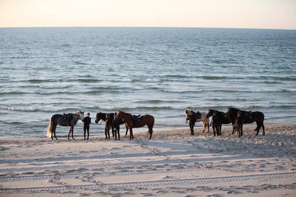 Paardrijden op het strand, &copy; TMV/ACP Pantel