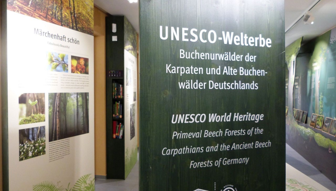 Tentoonstelling van het UNESCO Werelderfgoed Forum, waar bezoekers onder andere meer te weten kunnen komen over oude beukenbossen, © Gesine Häfner / Nationalpark-Zentrum KÖNIGSSTUHL