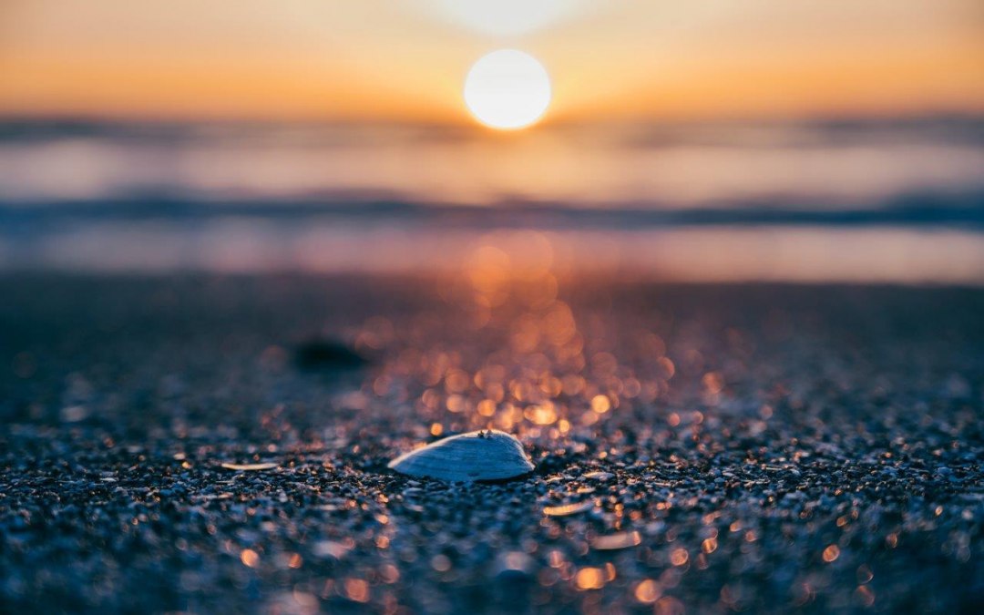 Strandfunde - Kreativwerkstatt am Meer, © Binzer Bucht Tourismus