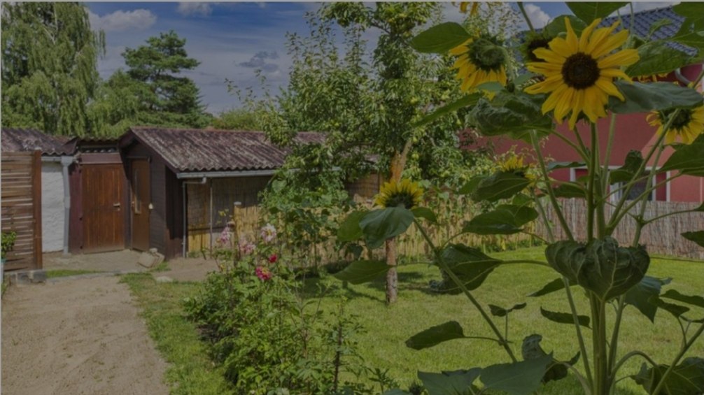Widok z tarasu na ogród., © Fam. Schurat