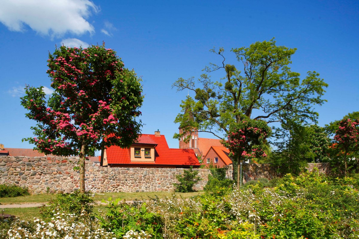 Mur miejski w Pasewalku, &copy; Torsten Kr&uuml;ger