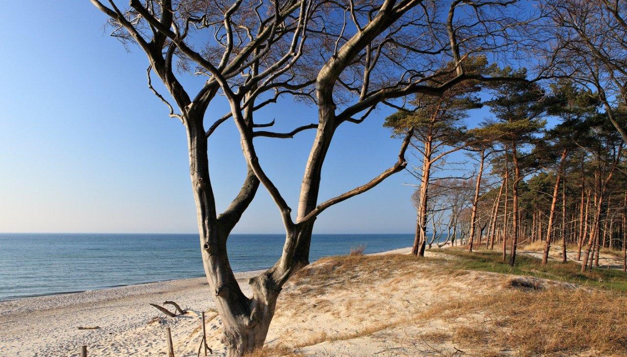 Zachodnia plaża, &copy; TV FDZ