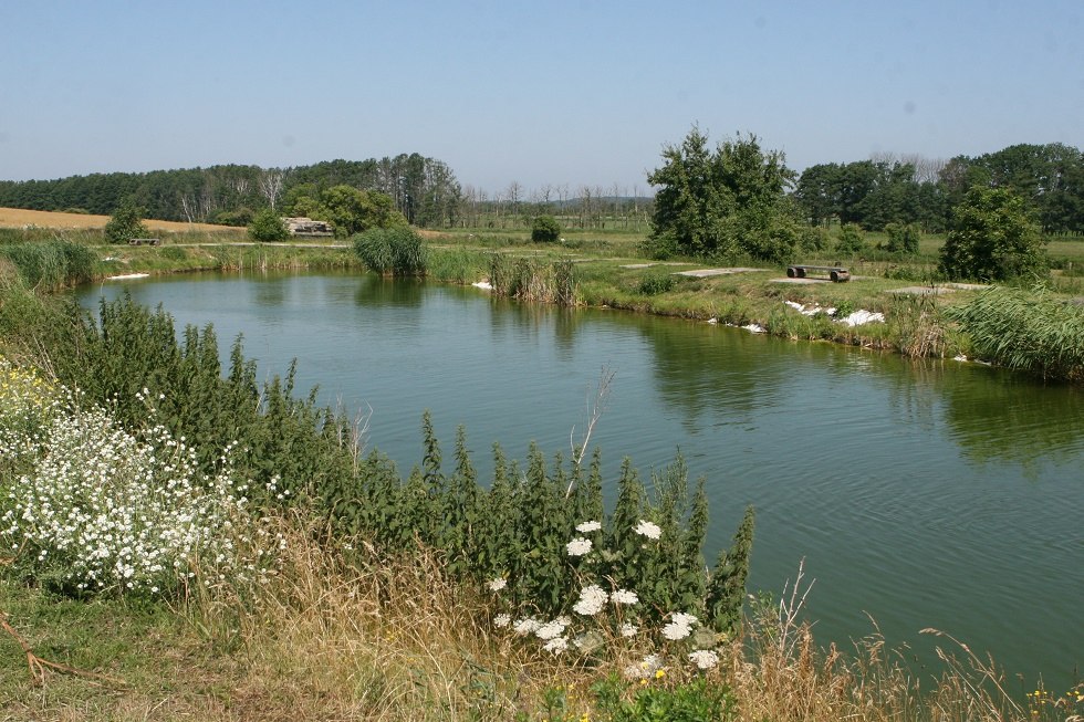 Uitzicht op de vijver, © Sabrina Wettkopf-Schade