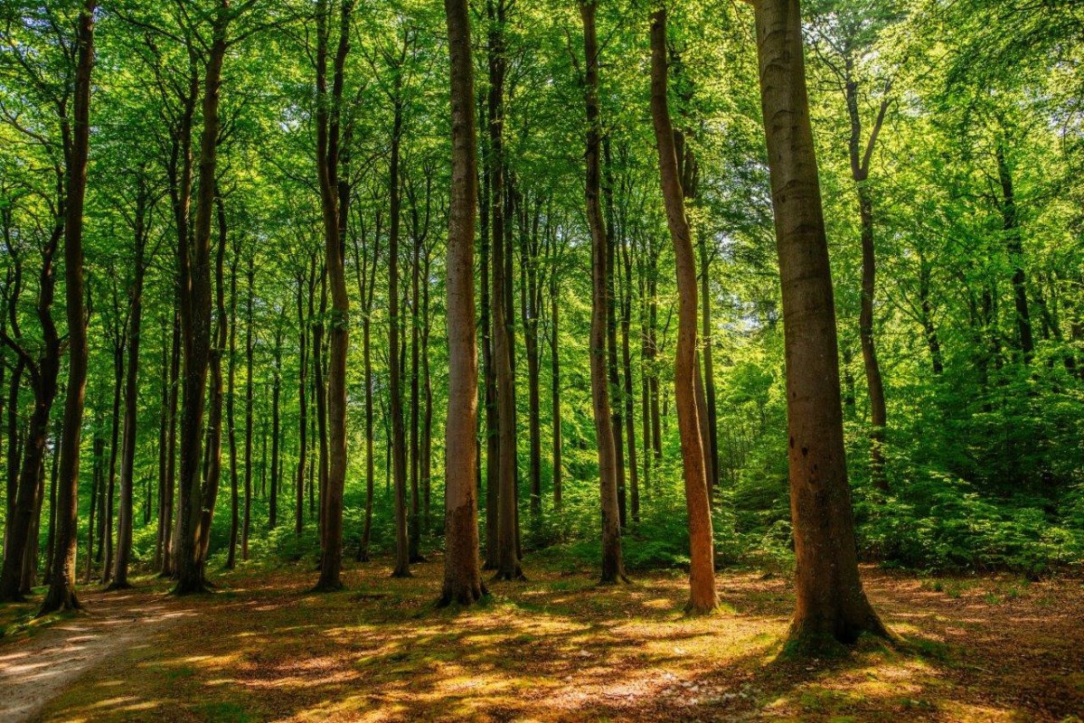 Von Turm zu Turm, &copy; Binzer Bucht Tourismus