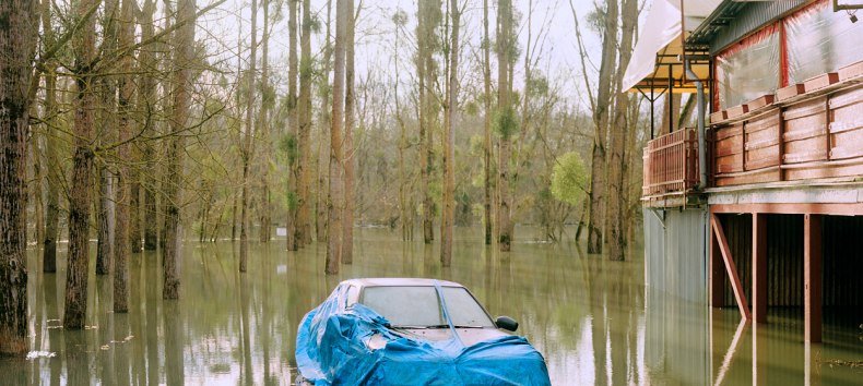 &copy; Ludwig Nikulski