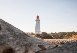 © Weiße Flotte GmbH