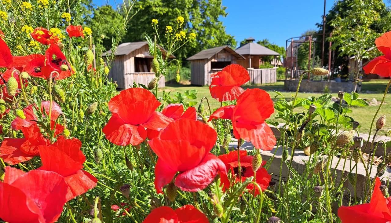 Uitzicht op de binnenplaats met de rustieke hutten, &copy; Sabrina Brodoch