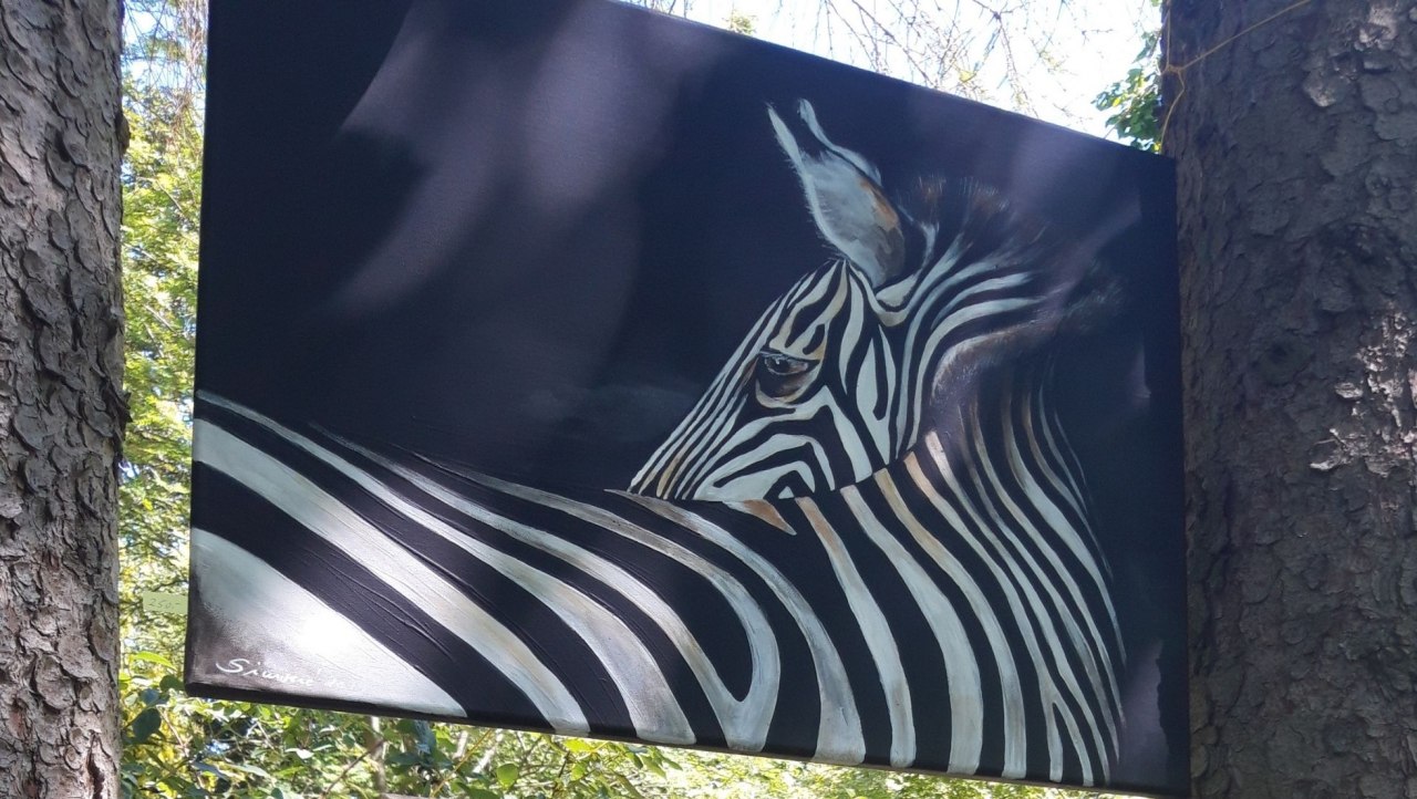 Africa Series - Excerpt // &copy; S.G.