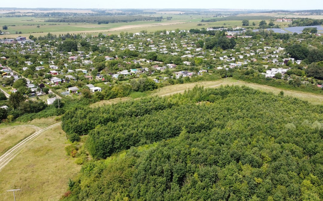 Klimaatbos Neubrandenburg, © Landesforst MV