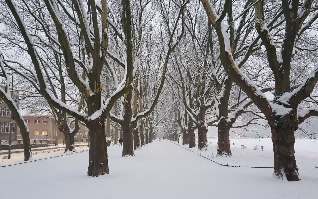 Green area „Jasne Błonia im. Jana Pawła II”, © Pomorze Zachodnie