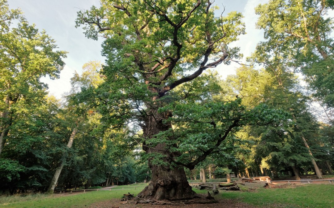 die-tausendjaehrige, © Sebastian Haerter