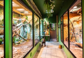 &copy; Tropenzoo_Bansin_Marcel_Piper