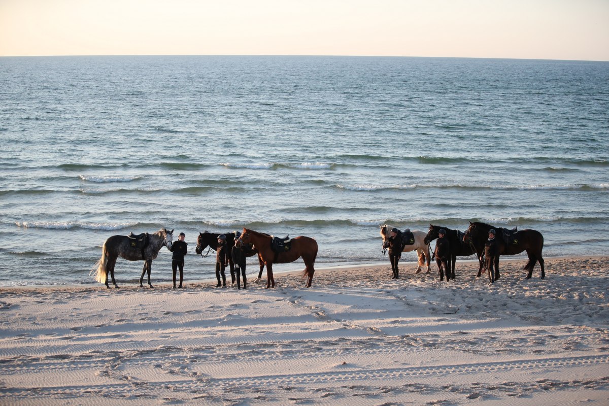 Paardrijden op het strand, &copy; TMV/ACP Pantel