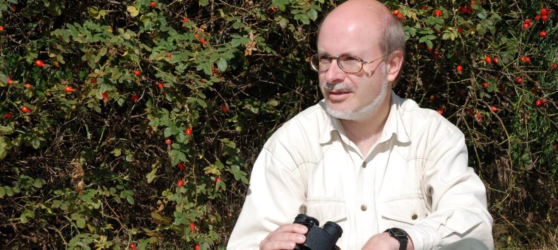 © Uwe_Westphal © Uwe_Westphal