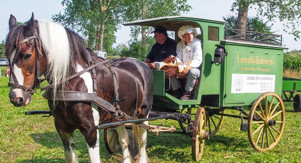 Een historische bakkerskar, © Freilichtmuseum Klockenhagen